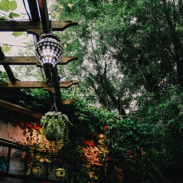 Creative Outdoor Design Ideas for Home Decoration