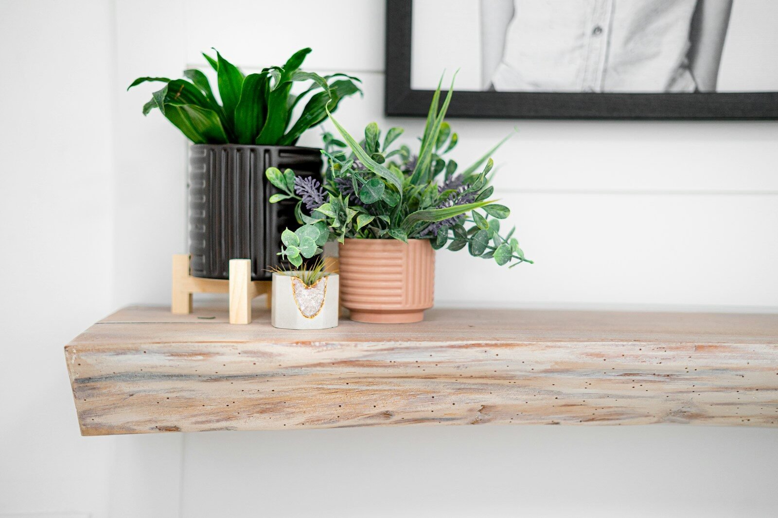 a couple of plants sitting on top of a wooden table